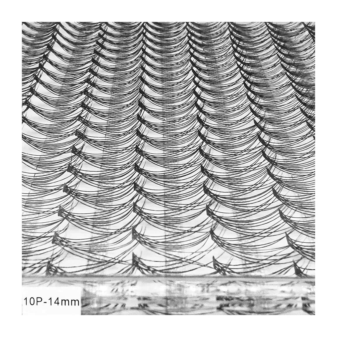 تصویر رسمی خانومی