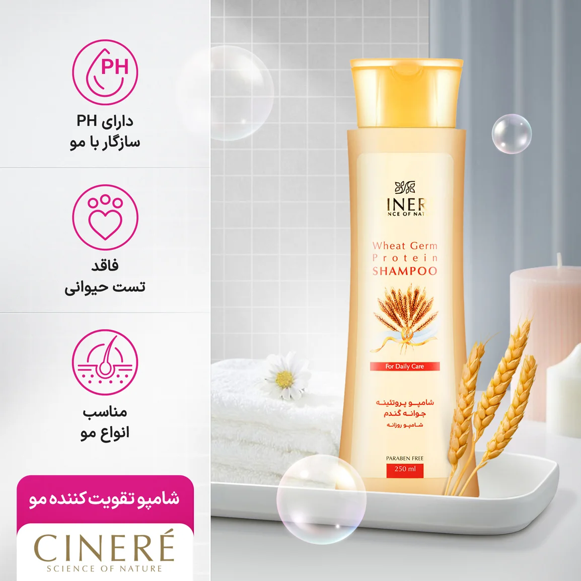 تصویر رسمی خانومی