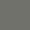 تصویر رسمی خانومی